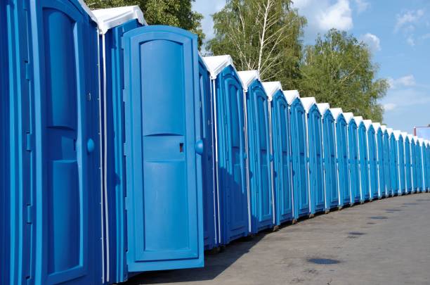 Best Sanitation services for porta potties  in South Haven, IN
